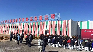 青岛建华接下额尔敦公司班产100头牛，3000只羊的屠宰流水线